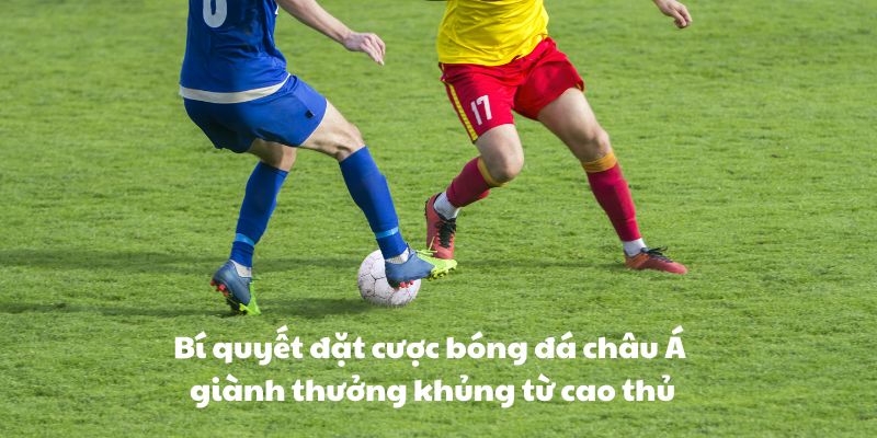 Bí quyết đặt cược bóng đá châu Á giành thưởng khủng từ cao thủ