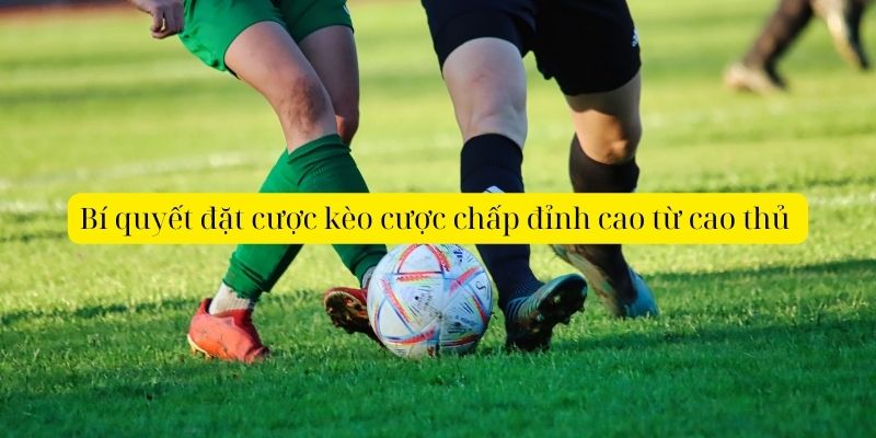 Bí quyết đặt cược kèo cược chấp đỉnh cao từ cao thủ 