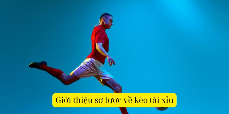 Giới thiệu sơ lược về kèo tài xỉu